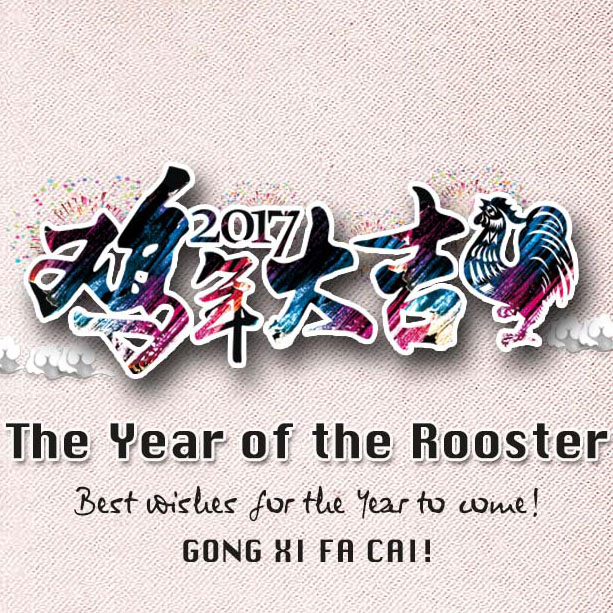 Happy Spring Festival 2017